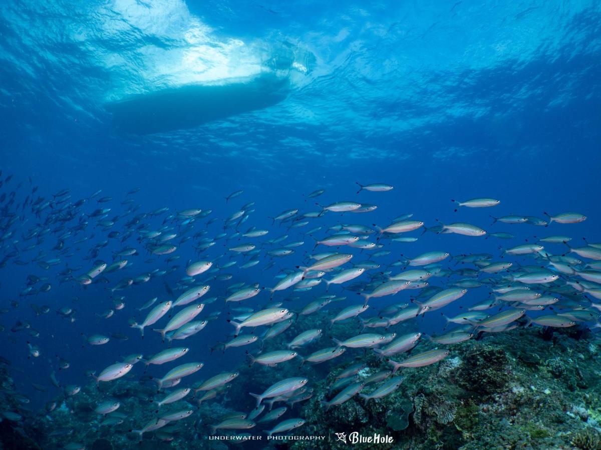 藍洞潛水blue Hole Dive Center Panzió Heng-ch'un Kültér fotó